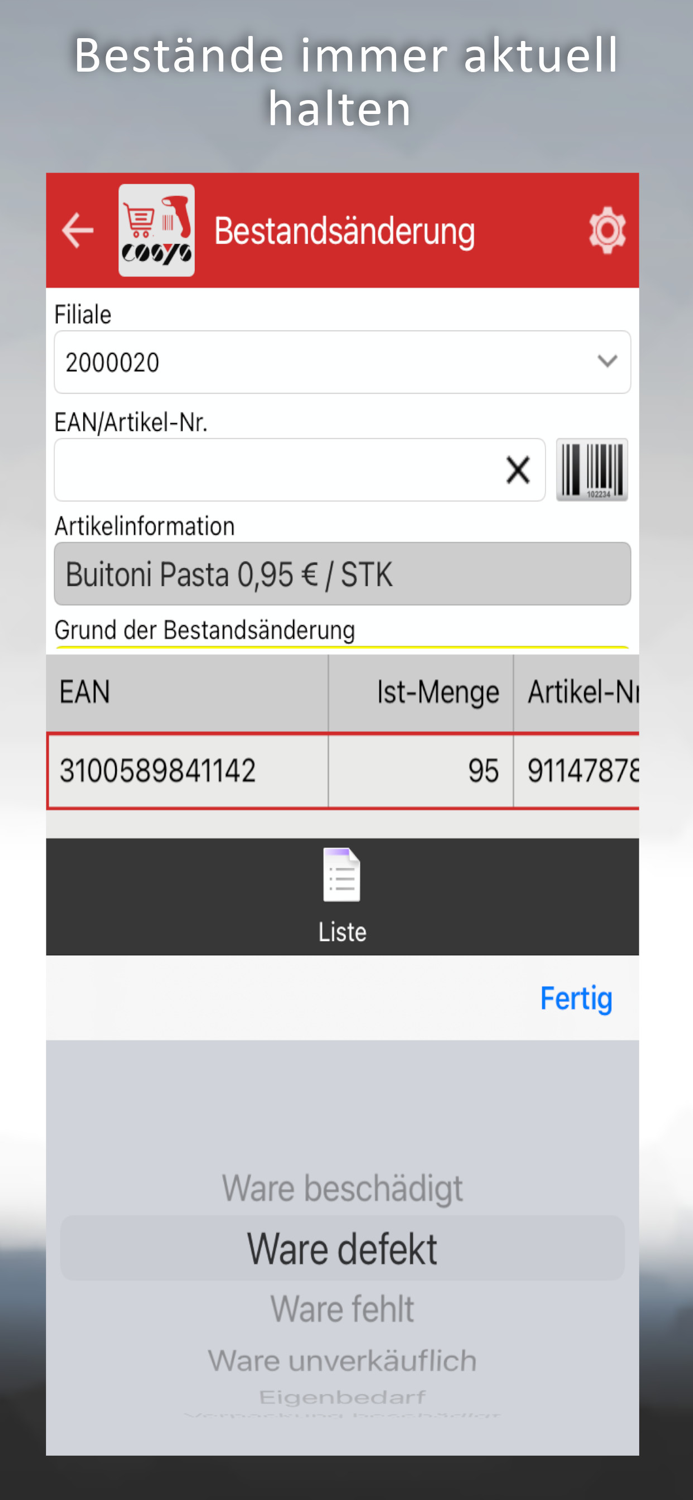 COSYS POS Food Retail
