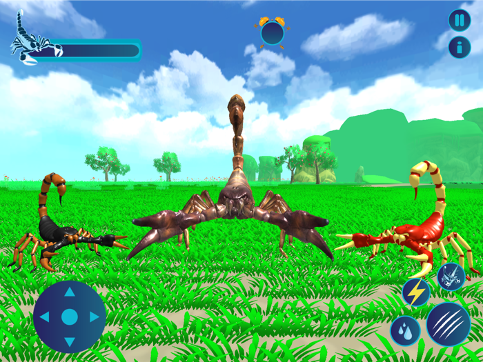 Deadly Venom Scorpion Insect