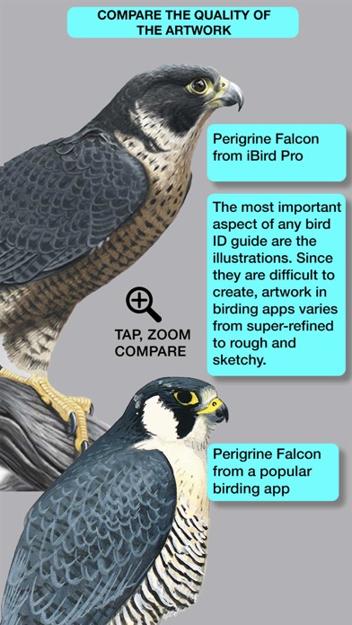 iBird Pro Guide to Birds Screenshot