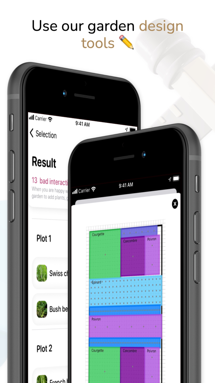 Tomate and Basilic- Permaculture