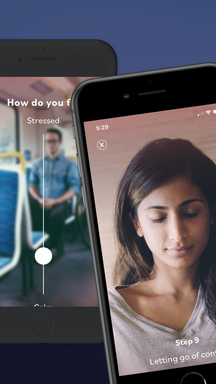 1 Giant Mind Learn Meditation