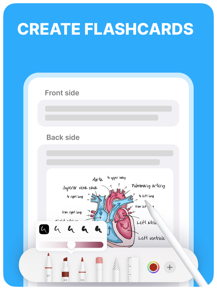 Anki Pro Flashcards Learning