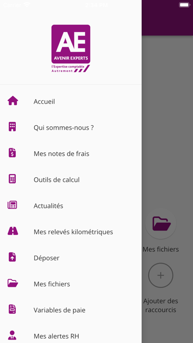 Screenshot #3 pour Avenir Experts