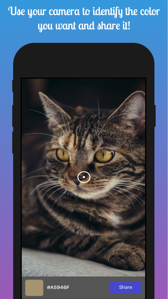 #2. Chroma Mate (iOS) 由: Andres Rivas