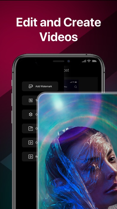 TokVideo - Video Saver Screenshot