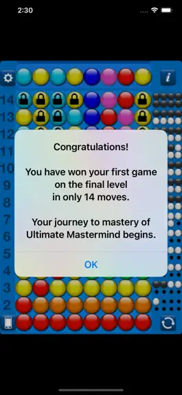 Game screenshot Ultimate Mastermind HD apk