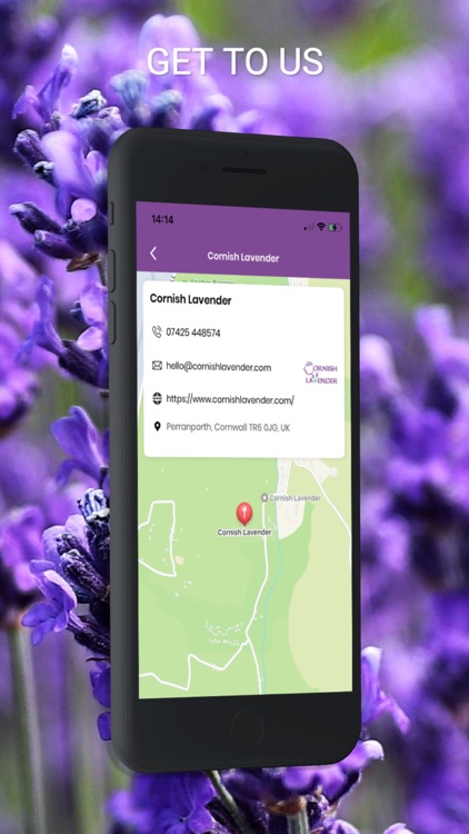 CORNISH LAVENDER screenshot-4
