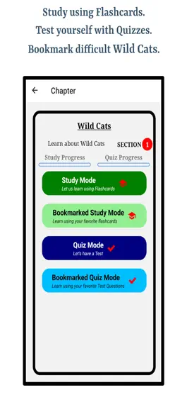 Game screenshot Learn Wild Cats apk