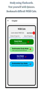 Learn Wild Cats screenshot #2 for iPhone