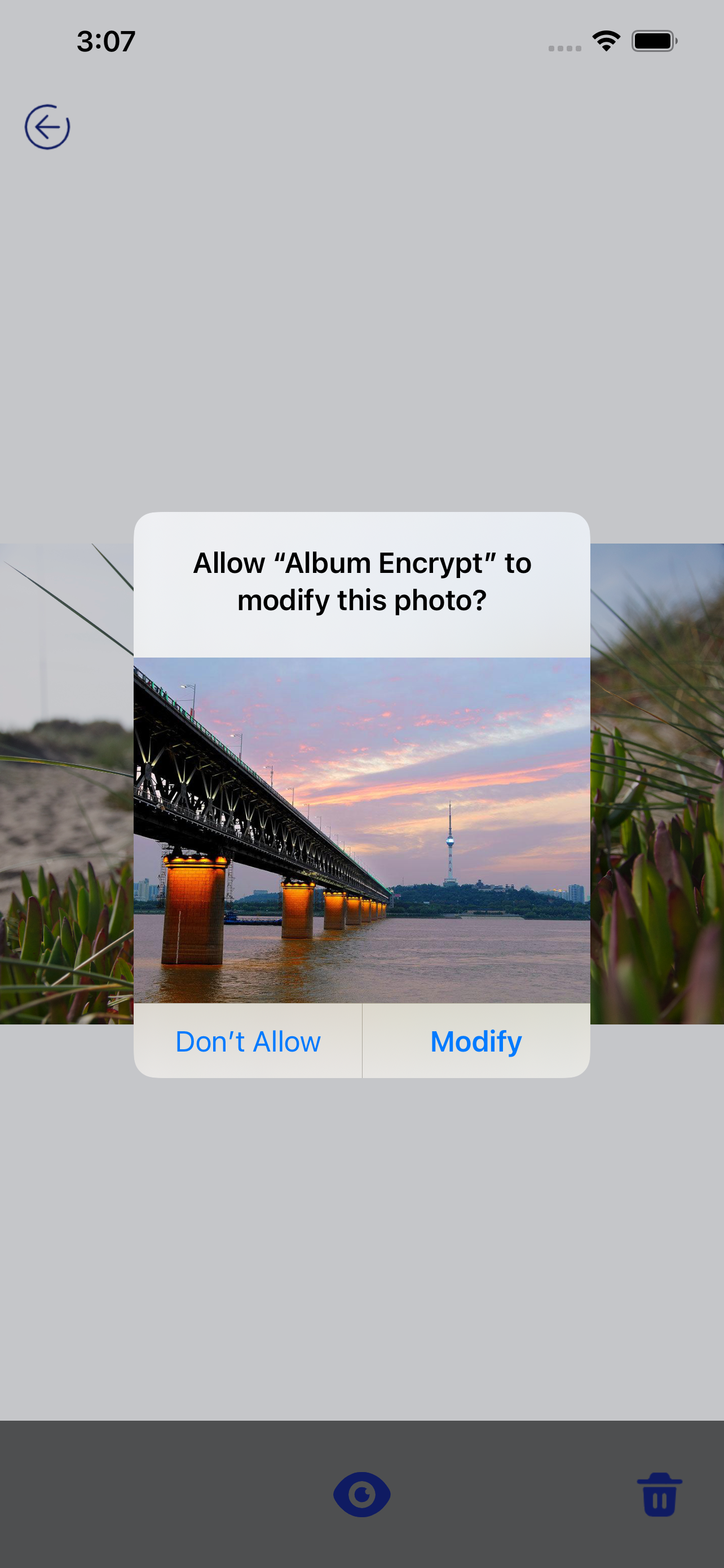 Album Privacy Assistant