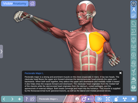 Visible Anatomyのおすすめ画像7