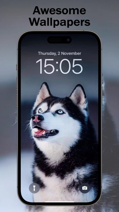 Animal Wallpaper Black Wolf 4K Screenshot