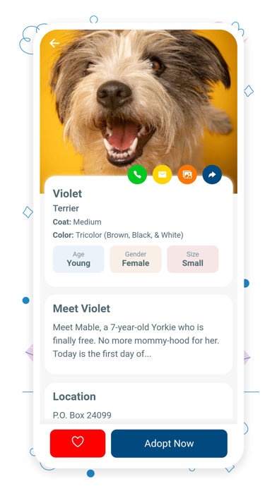 Pets Adoption - Adopt a Pet Screenshot