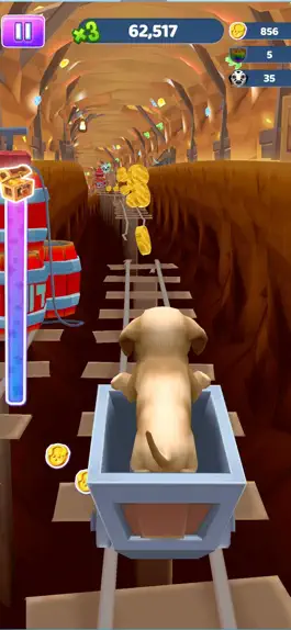 Game screenshot Pet Run - Puppy Dog Run Game hack