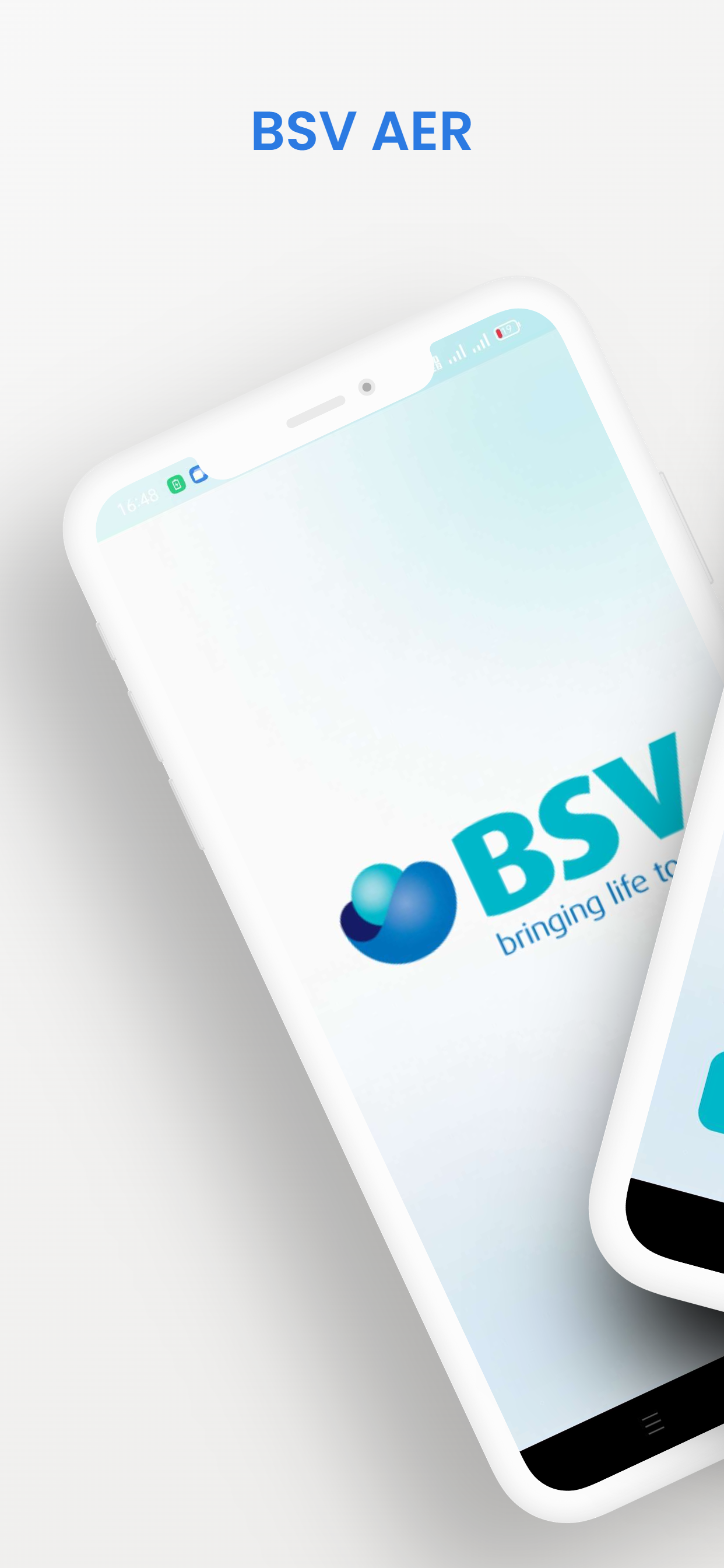 BSV AER