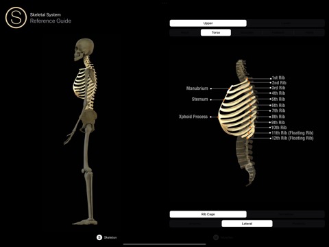 Anatomy Reference Guideのおすすめ画像2