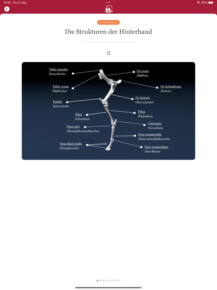 Pferde gesund bewegen