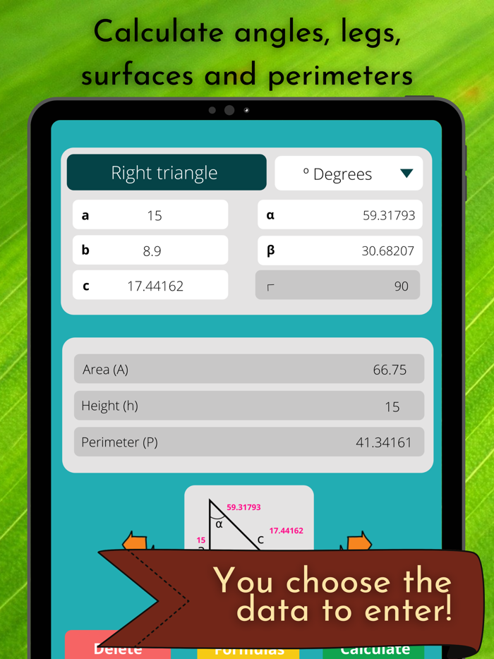 Geometry Calculator Solver