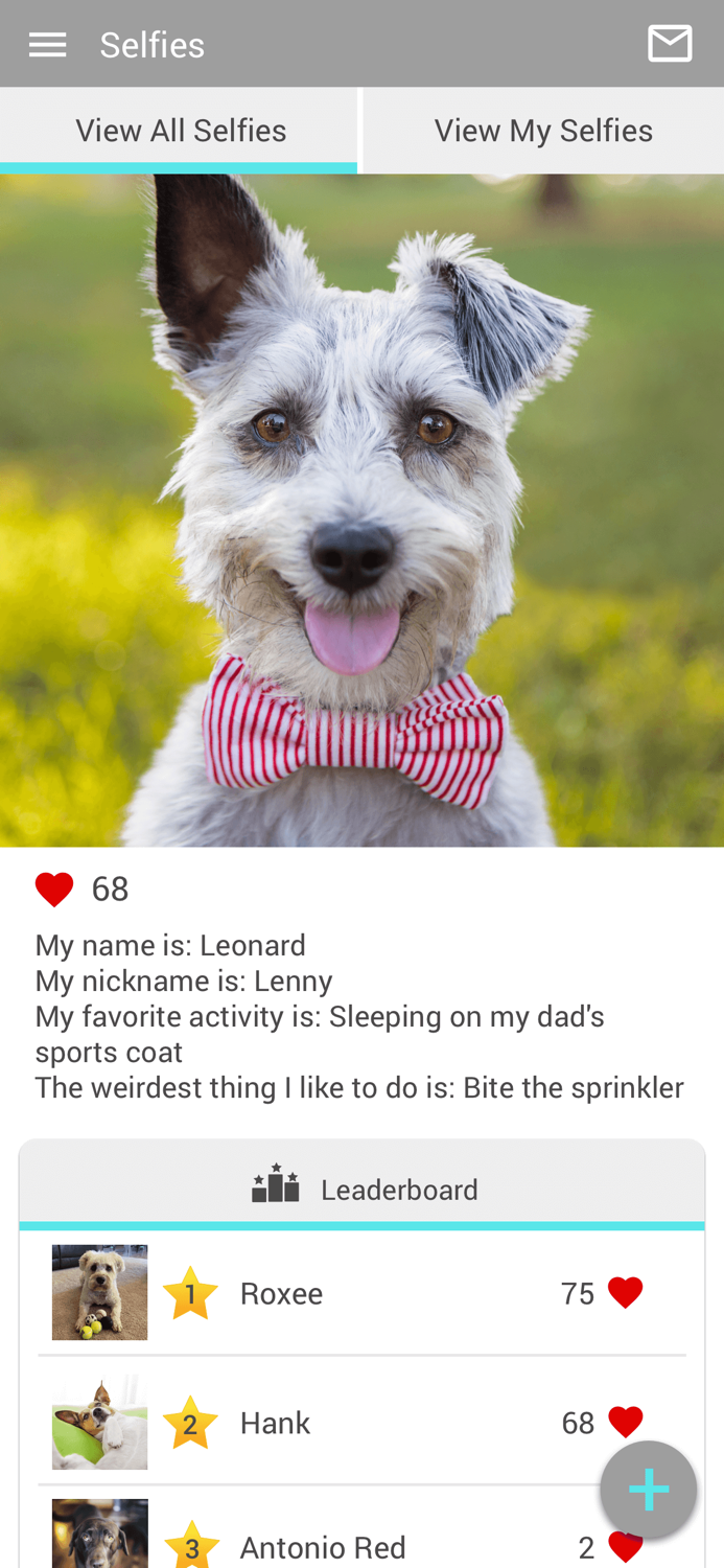 Westown Veterinary Clinic