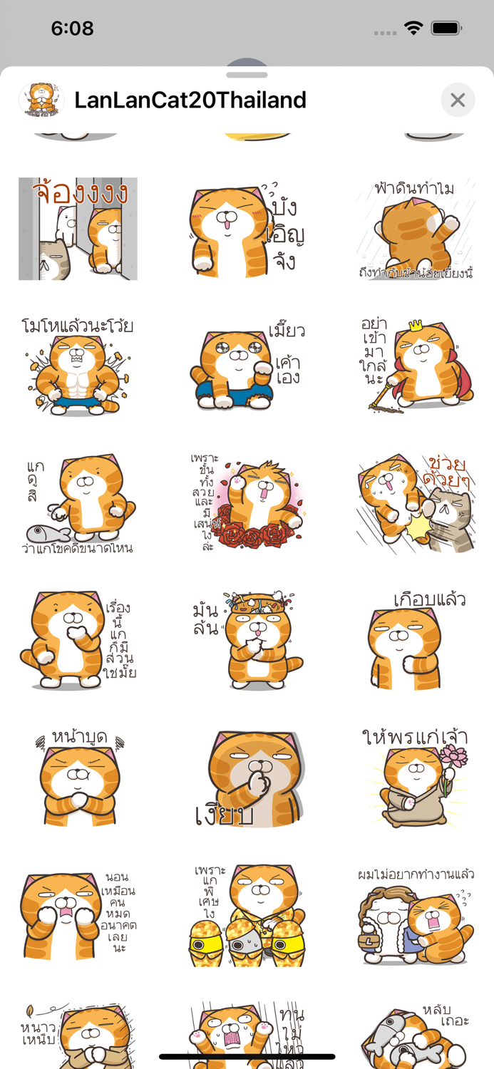 Lan Lan Cat 20 Thailand