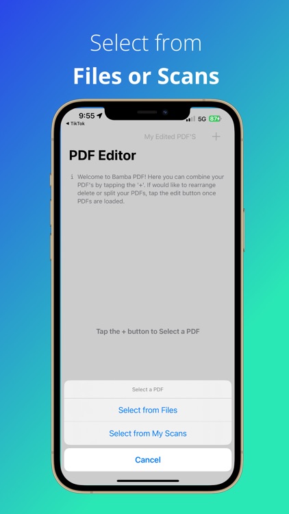 Bamba PDF screenshot-4