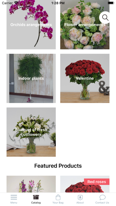 Shadow Flowers Online Screenshot