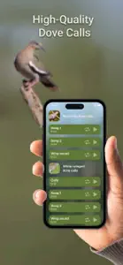 Hunting Calls: Dove screenshot #1 for iPhone