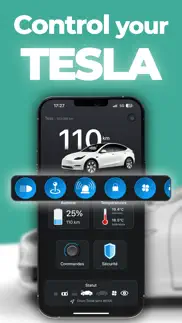 teslamote : remote for tesla iphone screenshot 1