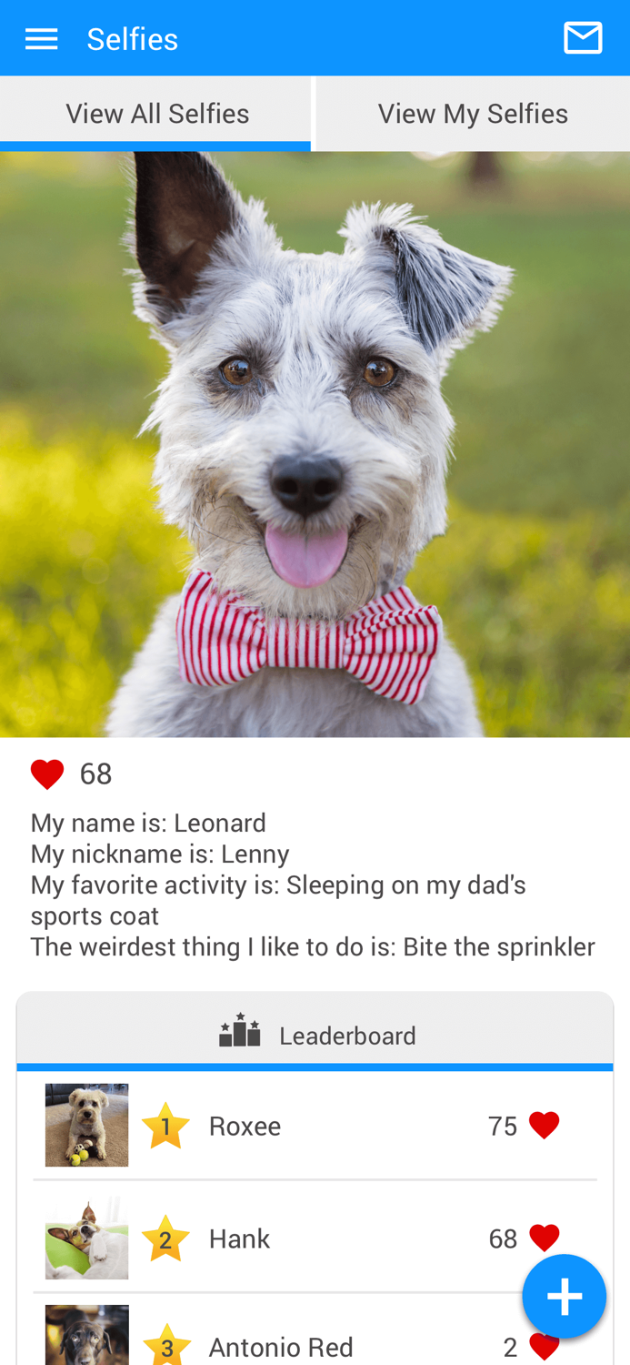 South Town Animal Hospital