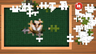 Bird Jigsaw Puzzles HD Screenshot