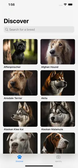 Game screenshot Dog Breeds HQ mod apk