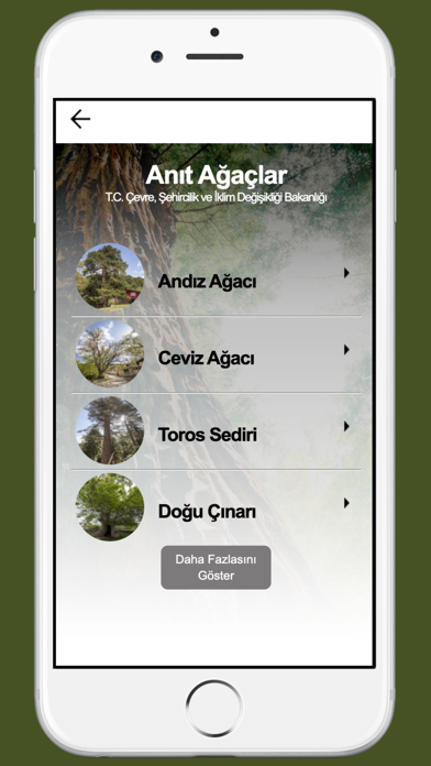 Anıt Agaçlar Screenshot