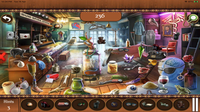 Big Home Hidden Object Games Screenshot