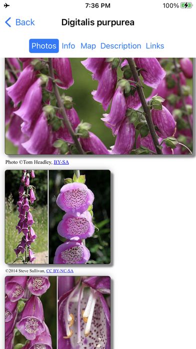 Alaska Wildflowers SE Screenshot