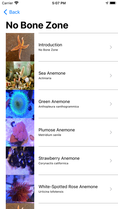 Florida Aquarium Guide Screenshot