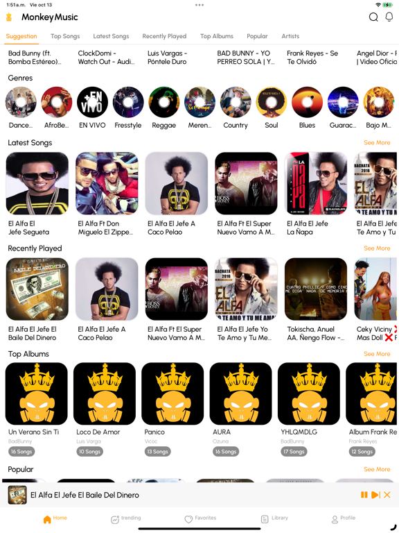 MonkeyMusic iPad screenshot 5 - Music app