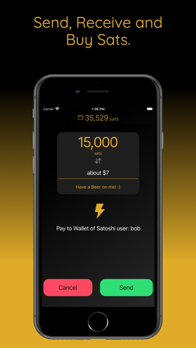 Screenshot #3 pour Wallet of Satoshi