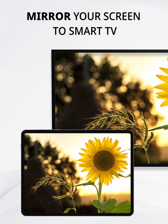 Screenshot #4 pour Miroir vers Smart TV