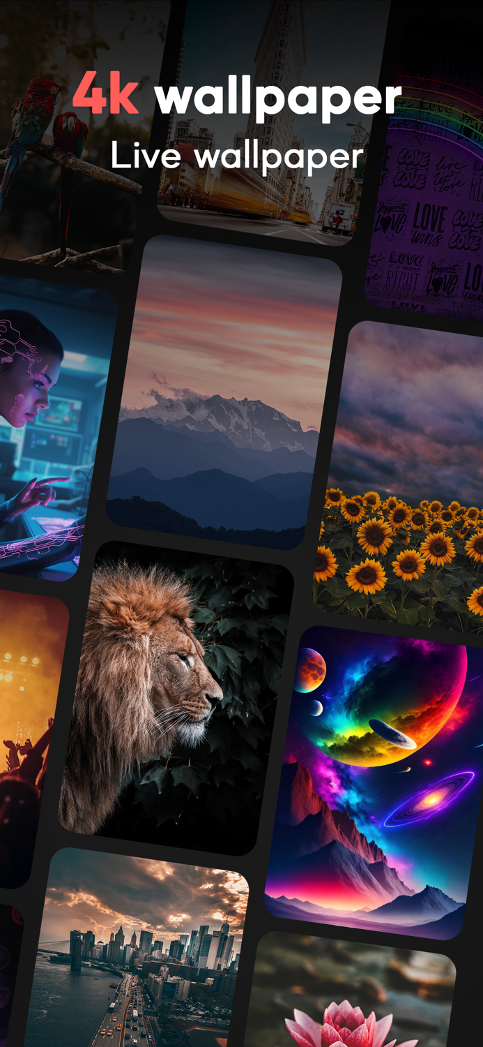 Wallpaper Dynamic Island OS 17