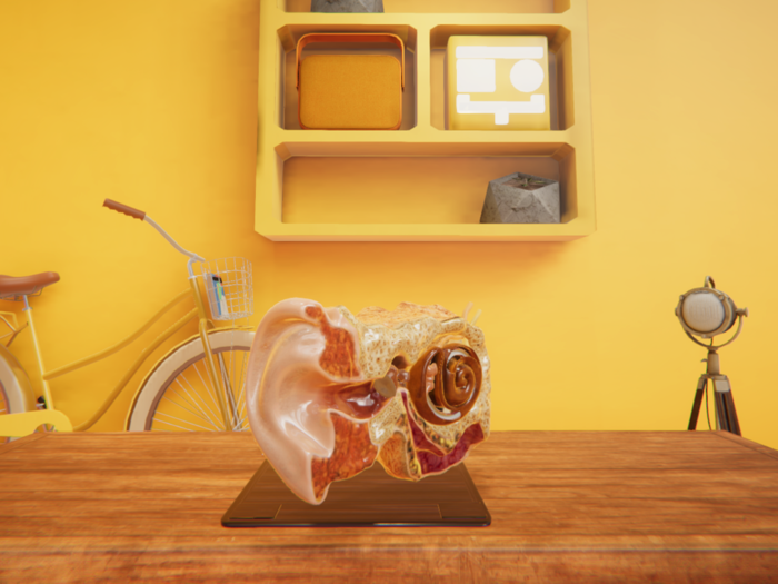 Sisanda App Universe