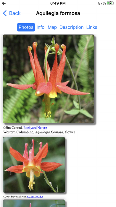 Alaska Wildflowers SC Screenshot