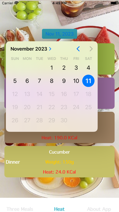 ThreeMealsDayCal Screenshot