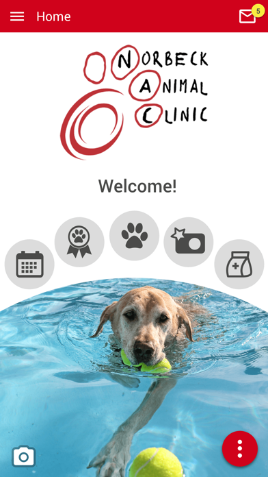 Norbeck Animal Clinic Screenshot