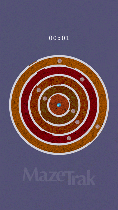 MazeTrak Screenshot