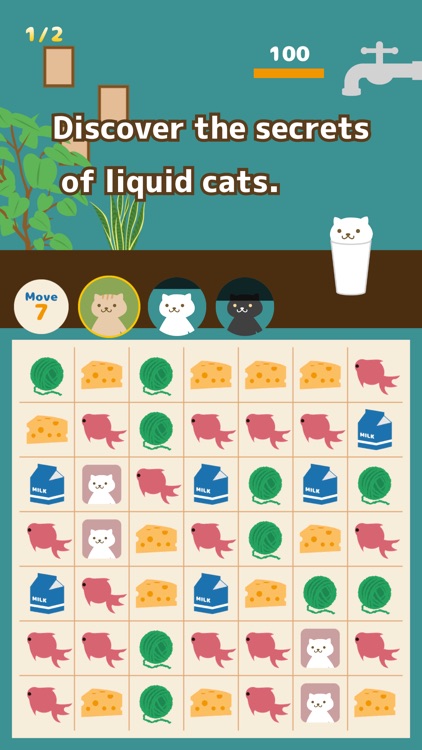 Liquid Cat Puzzle
