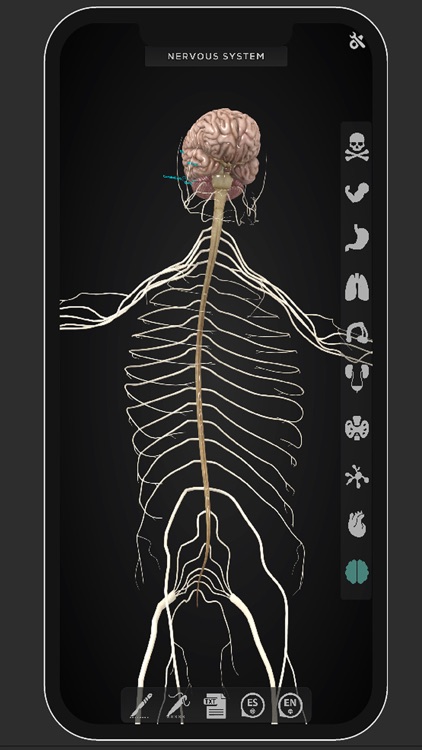 Virtual Medical Anatomy screenshot-5