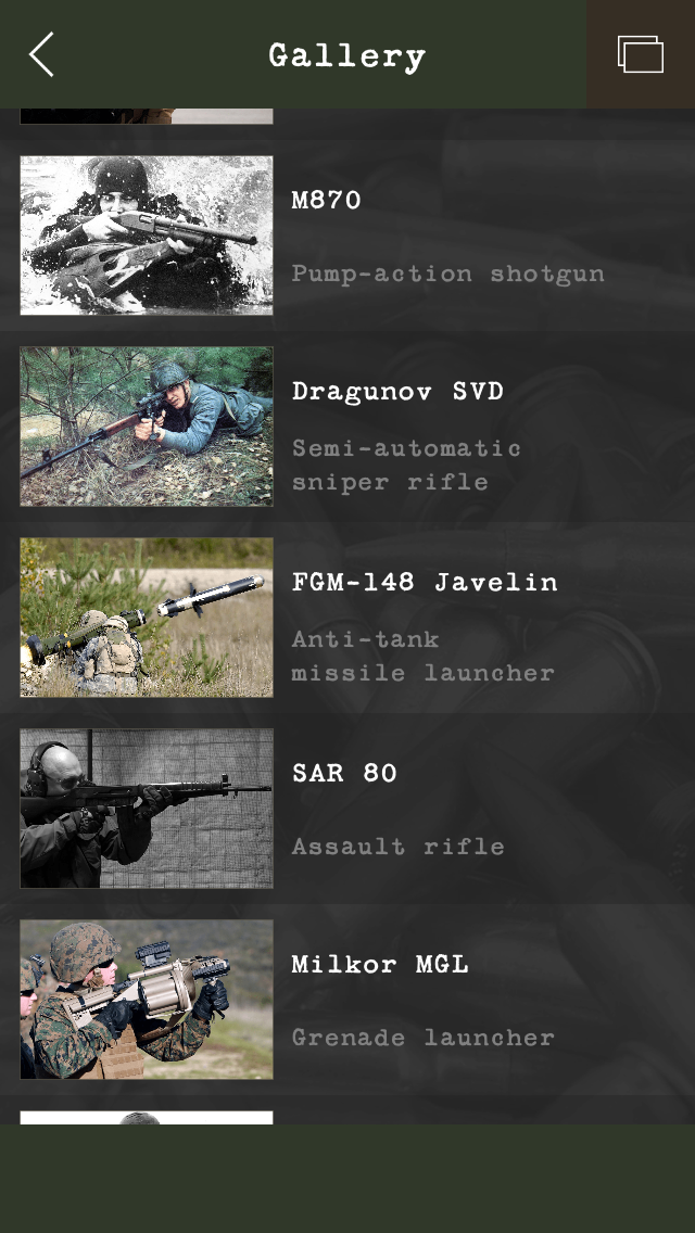 Guess the Modern Firearm