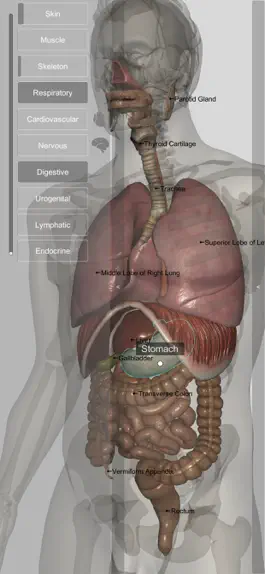 Game screenshot Introdução Anatomia Humana 3D mod apk