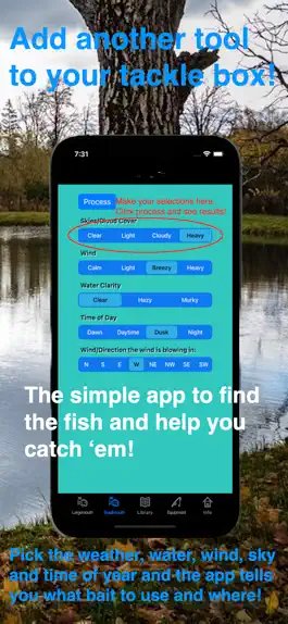 Game screenshot Saltwater Angler hack