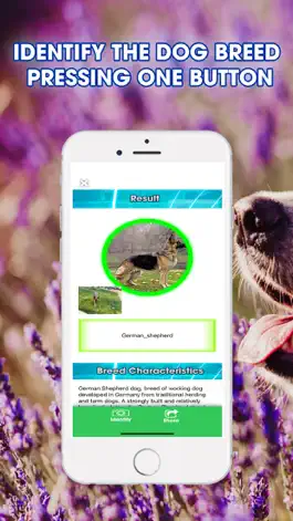 Game screenshot Dog Breeds Identifier hack